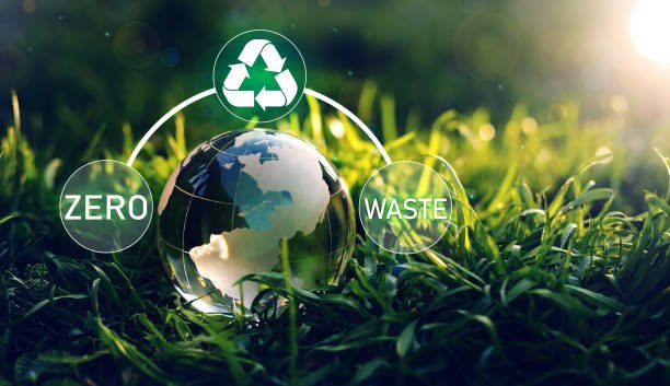 Waste to Wealth Transformation